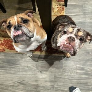 Meet your Posher, Diamond